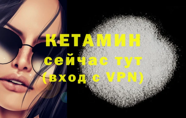 сатива Нефтекумск