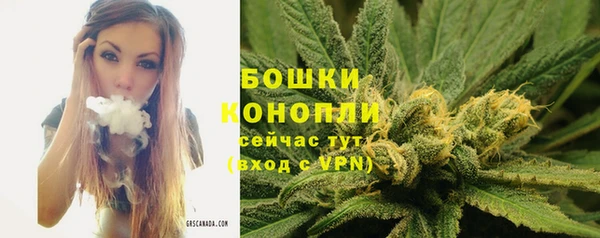 сатива Нефтекумск