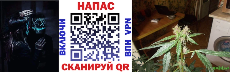 купить   Полевской  Конопля конопля 